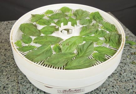 Drying Basil In A Food Dehydrator